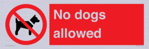 No dogs allowed